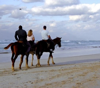 Cabalgata por la playa.jpg
